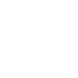 IT Support